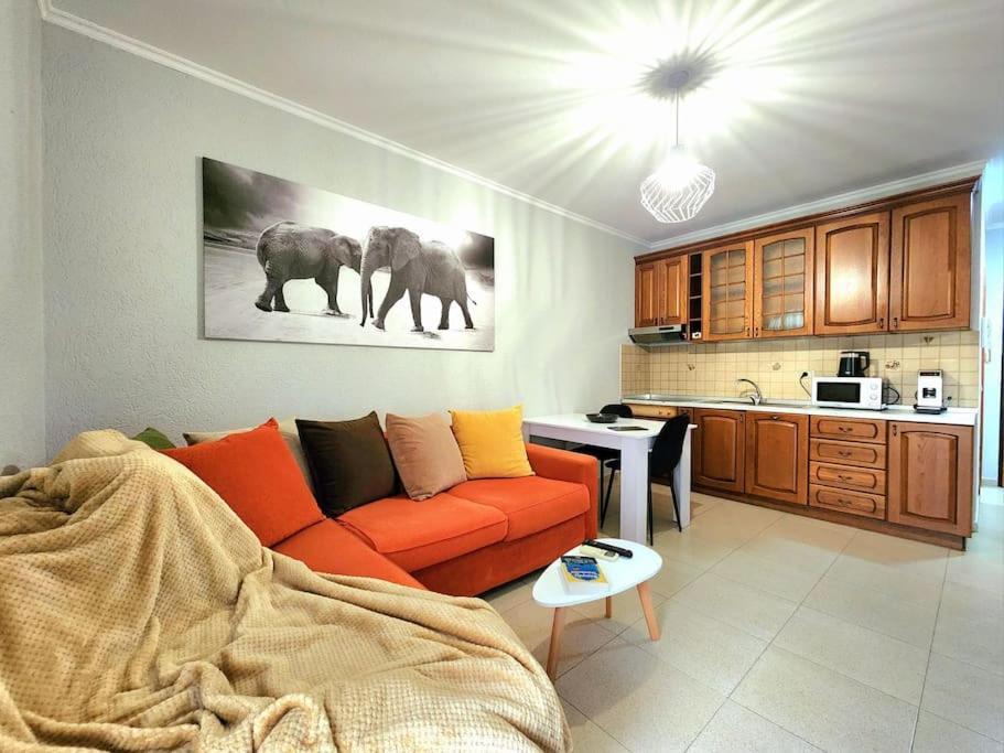 Appartement One Bd Flat Near Center With 24H Self Check In à Tirana Extérieur photo